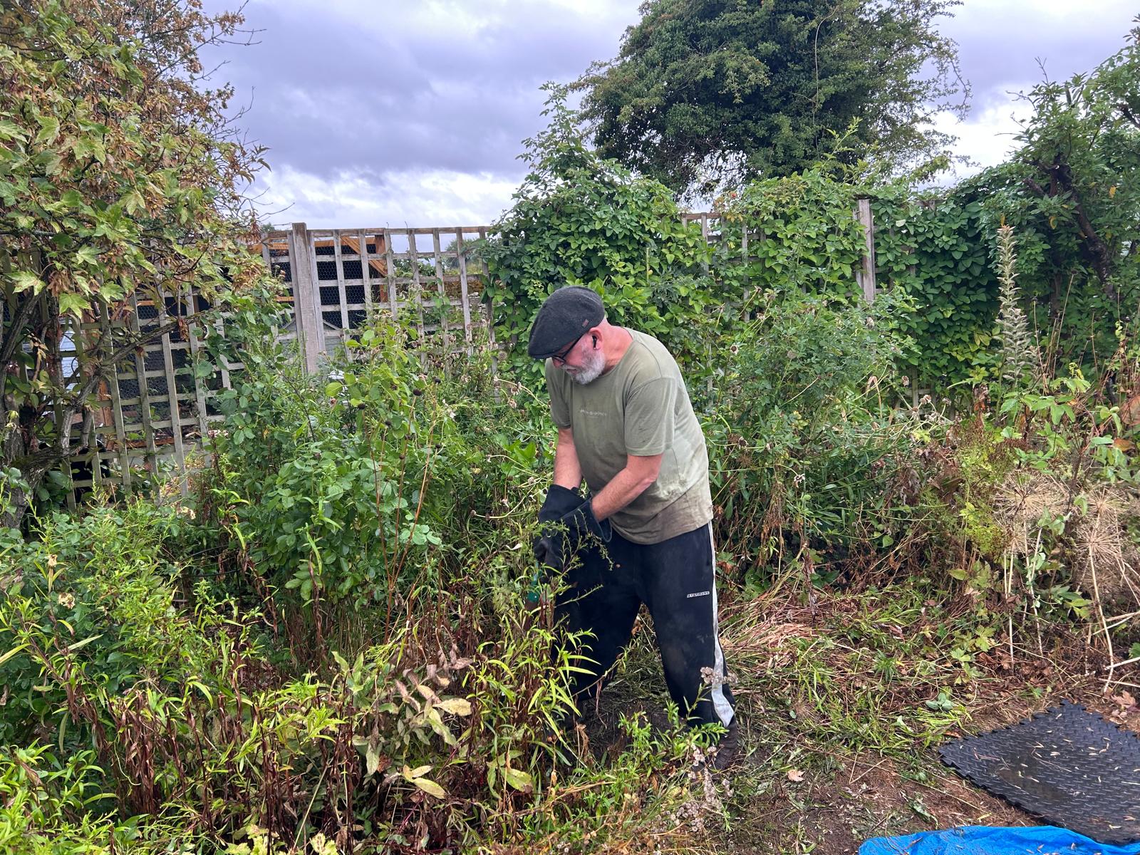 Before — heavily overgrown