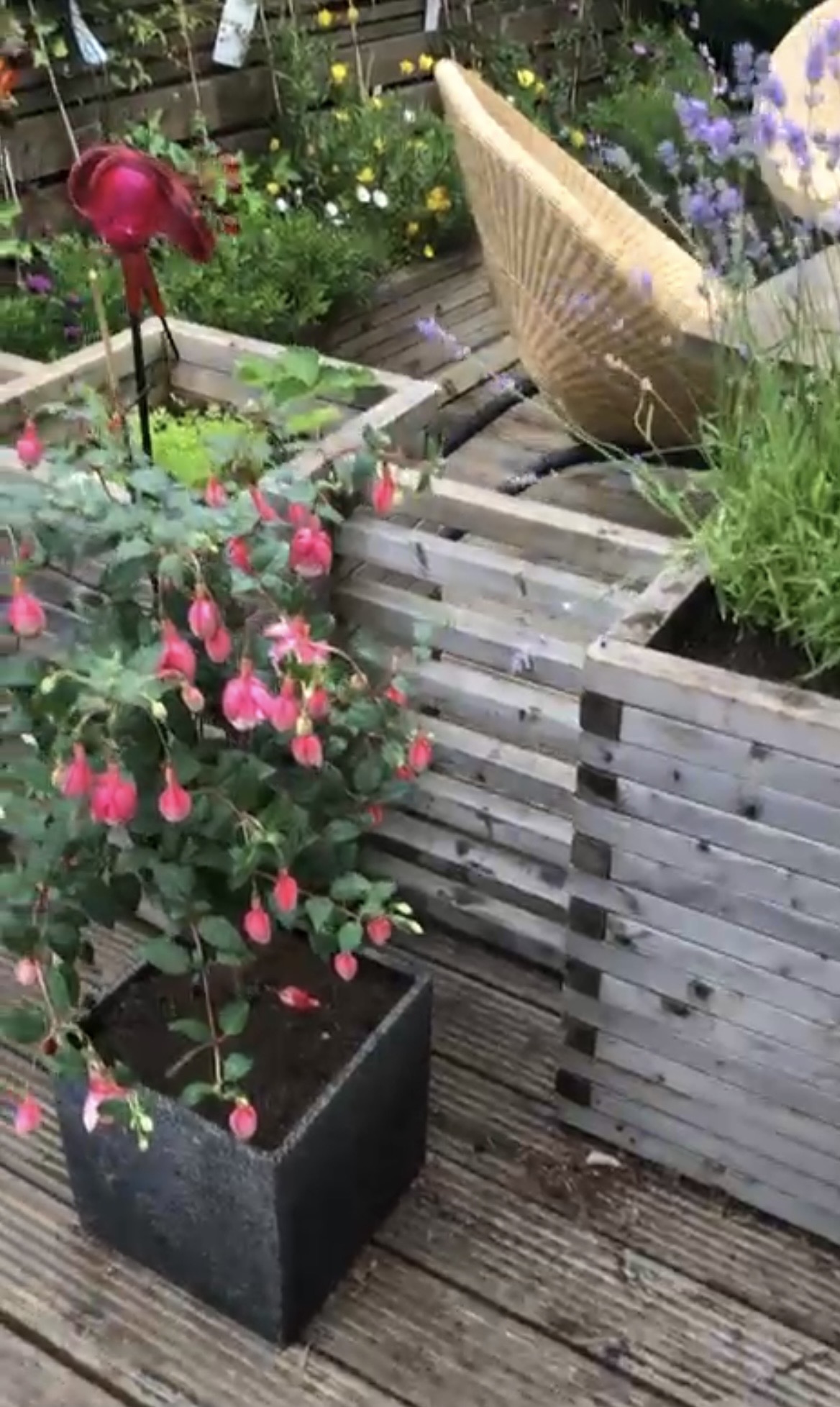 Bespoke planters & planting