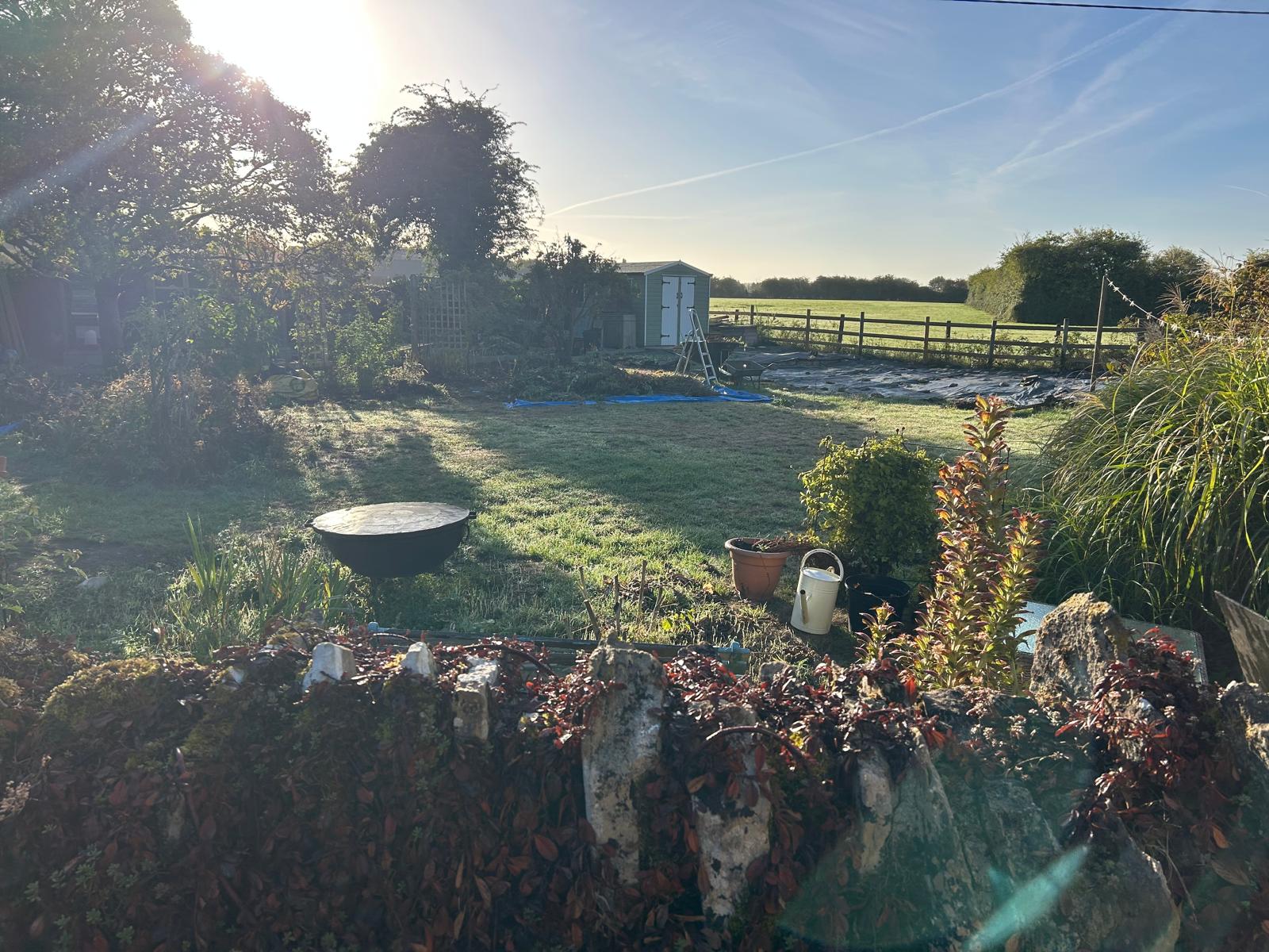 After — garden reclaimed
